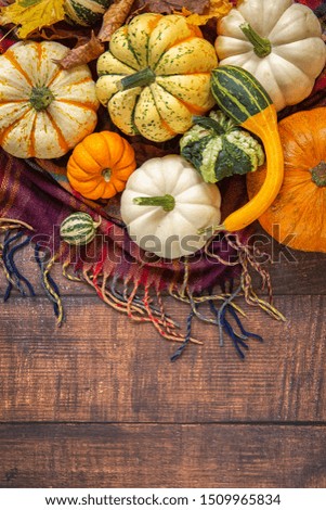 Autumn harvest. Decorative pumpkins of different varieties on a plaid blanket . top view.wooden background.Maple leaf