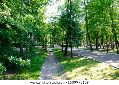Pushkin Park (or Central Park) of Saransk, the capital of the Republic of Mordovia in Russia Royalty-Free Stock Photo #1509973139