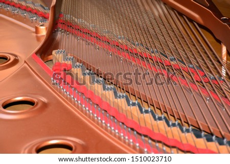 
Interior and strings of a grand piano