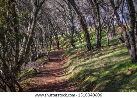 The trail to Hidden Falls near Sacramento, California