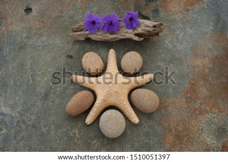 Starfish Stones And Flowers Still Life Photography.