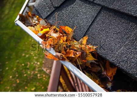 Autumn leaves  clogging a rain gutter on a roof Royalty-Free Stock Photo #1510057928