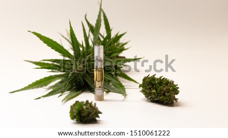 Wide view of hemp derived CBD oil infused vape smoking refill cartridges on white background with large hemp flower buds. Generic product image. Popular cigarette smoking substitute. Copy space right.