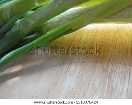 Close-up of natural raw leek on the plywood with beauty sunlight in the traditonal kitchen,natural photography,natural photo,no edited picture