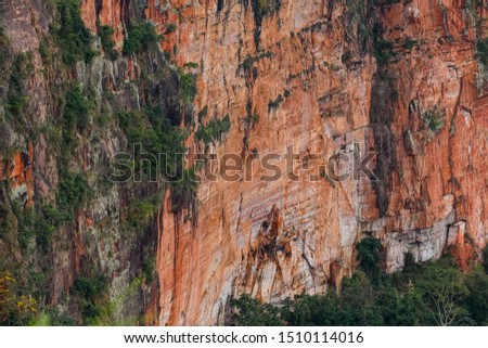 Close up of a steep cliff edge with green vegetation, Chapada dos Guimarães, Mato Grosso, Brazil, South America