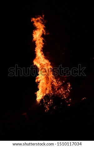 Night time blazing bonfire, christmas tree fire