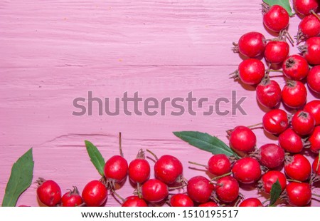 red hawthorn berries with green leaves pink wooden texture background top view tree texture