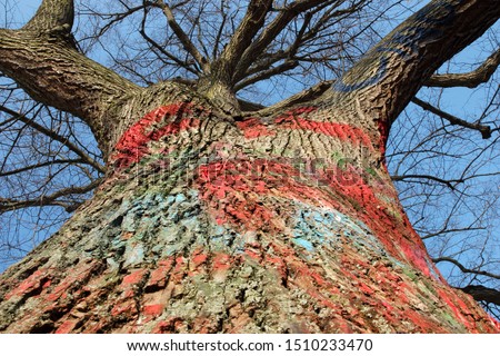 Decorated tree trunk in a park.