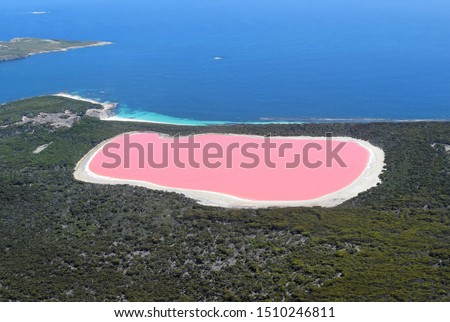 The amazing Lake Hillier, so-called Pink Lake, famous landmark of Australia. Pink Lake is located near Esperance, Cape Le Grand National Park, in Western Australia. Aerial view.  Royalty-Free Stock Photo #1510246811