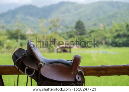Sport saddle brown jumping on wooden fence mountain scape background.