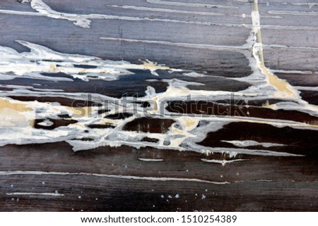 abstract line on bark background