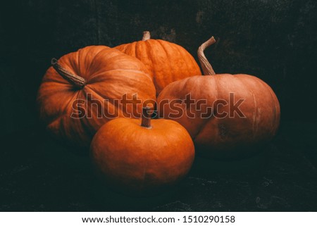 Photo of four orange pumpkins on black background, halloween celebration, space for inscription.