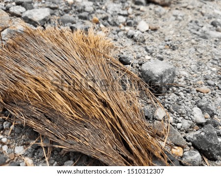 old coconut fiber on the ground background