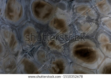 Perfect dark quartzite background for stylish design view. High quality texture.