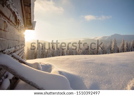 Wonderful winter in the Ukrainian Carpathian Mountains with snow-covered houses and spruce around