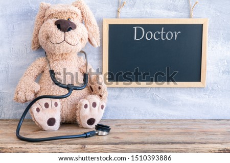 Stuffed Dog animal presented as a pediatrician holding a stethoscope with copy space

