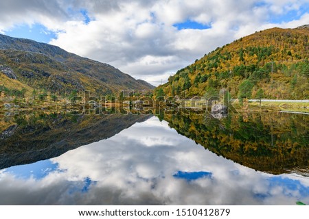 Mirror reflection of tree and mountain in a lake in lofoten islands, Norway. Concept of reflection, peace, nature, calm, meditation.
