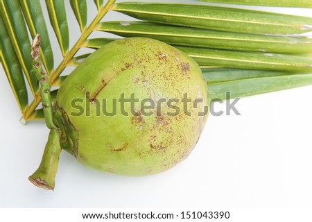 Coconut  on white background.