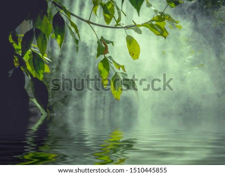morning landscape fog smoke morning rays of light tree branches river water reflection