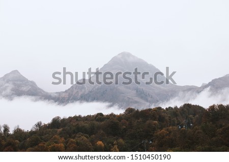Beautiful picturesque view of a hilly mountain covered with white fog and forest. Concept of vacation in a picturesque resort in the city of clean mountain air. Copyspace