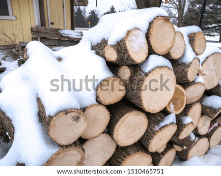 A view of a pile of round logs of stacked firewood for burning fireplace fuel piled in fresh white snow in Wisconsin in winter.