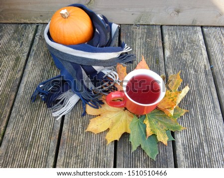 pumpkin with scarf and cup of tea on wooden background