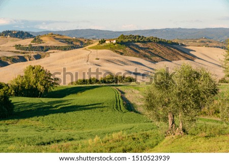 Landscape in the Crete Senesi south of Siena