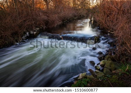 River in the woods in autumn