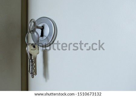 Bunch of keys left in the keyhole of flat door. Concept of security, access, safety.
