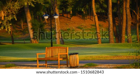 Beautiful landscape of a wooden bench on a background of trimmed green lawn and trees