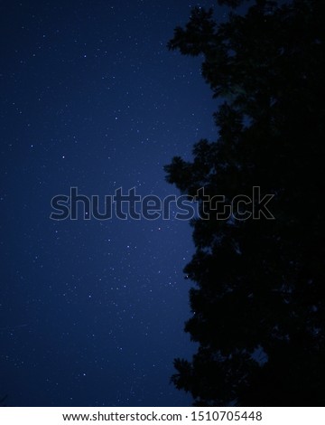 stars in night park in Lviv