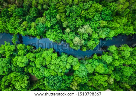 Green forest and river in Tuchola national park, aerial view Royalty-Free Stock Photo #1510798367