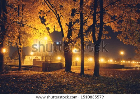 Evening in an autumn park lit by lanterns. The earth is covered with fallen leaves