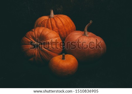 Photo of four orange pumpkins on black background, halloween celebration.
