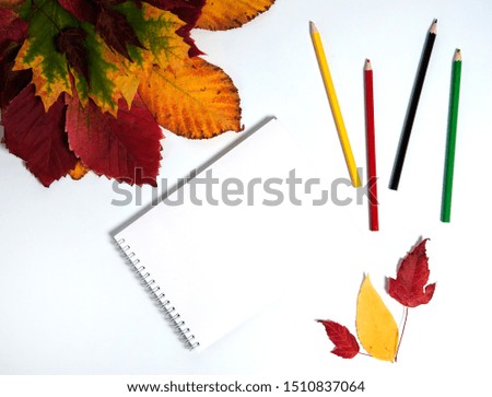 Autumn composition. Bouquet of colorful autumn leaves, notepad, colored pencils on a white background.