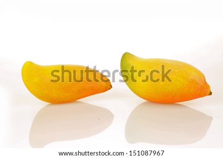 Mango on a white background 