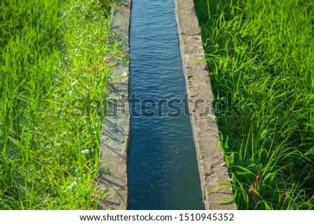 Water channel in rice field. Picture of an irrigation channel with water, passing through a green rice field in morning.