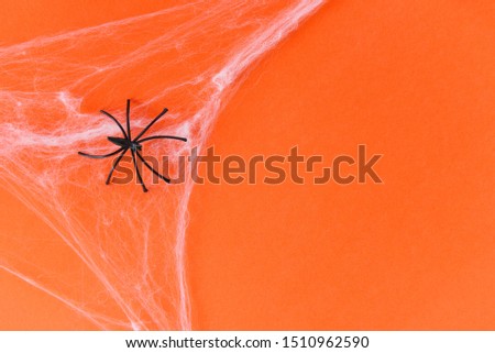 halloween background with spider web and black spider on orange decorations holidays festive for party accessories object concept 