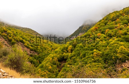 autumn in the mountains with foggy clouds