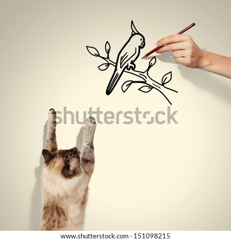 Image of siamese cat catching drawn bird