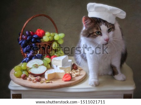Still life with Brie cheese and fruits and cat chef