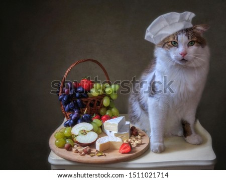 Still life with Brie cheese and fruits and cat chef