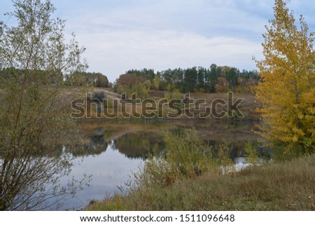   A quiet autumn dawn over the lake in sunlight. The birches were covered with Golden leaves.                             