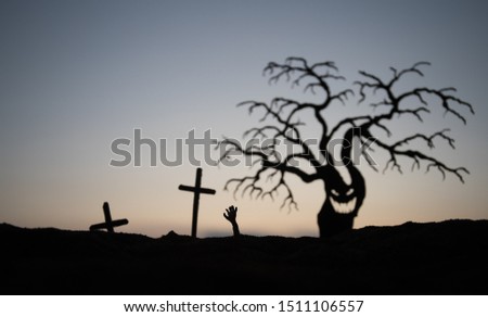 Silhouette some zombies on the cemetery walking around at sunset. Silhouette of scary Halloween tree with spooky face. Horror Halloween concept. Selective focus