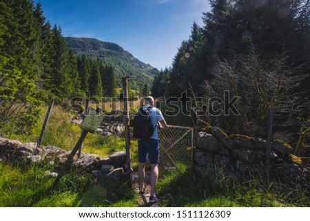 tourist hiking on a sunny summer day on the nature of mountain norway