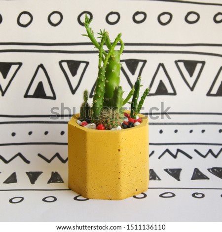 Mexican plants cacti and succulents in a concrete planter. National ornaments and indoor plants in a bright yellow pot. Colorful banner for design.
