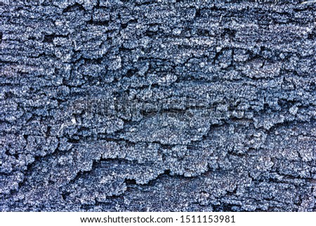 texture of old oak Board covered with frost