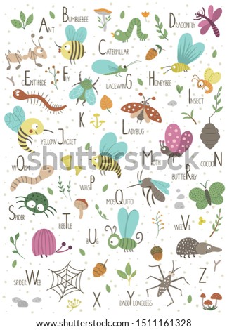 Woodland alphabet for children. Cute flat ABC with forest insects. Vertical layout funny poster for teaching reading on white background.