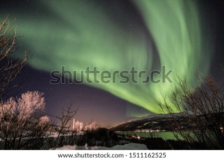 aurora borealis in tromso Norway
