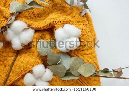autumn mood. fall yellow background with cotton flowers and eucaliptus
